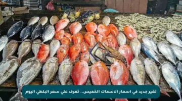 تغير جديد في أسعار الأسماك الخميس.. تعرف على سعر البلطي اليوم